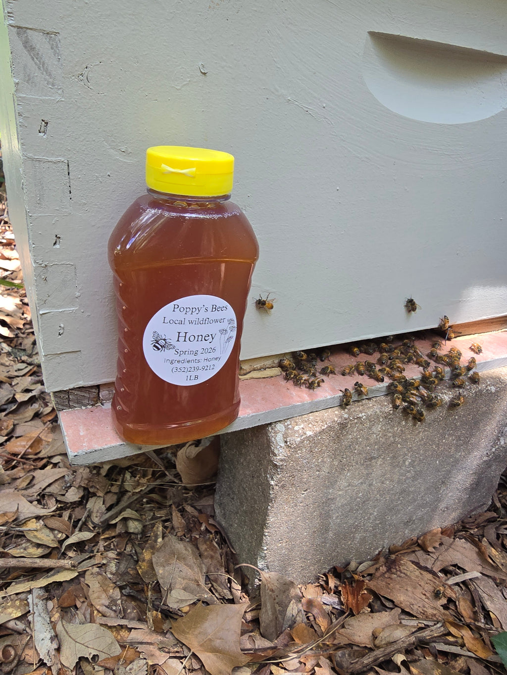1 Pound Bottle of Honey (Spring)