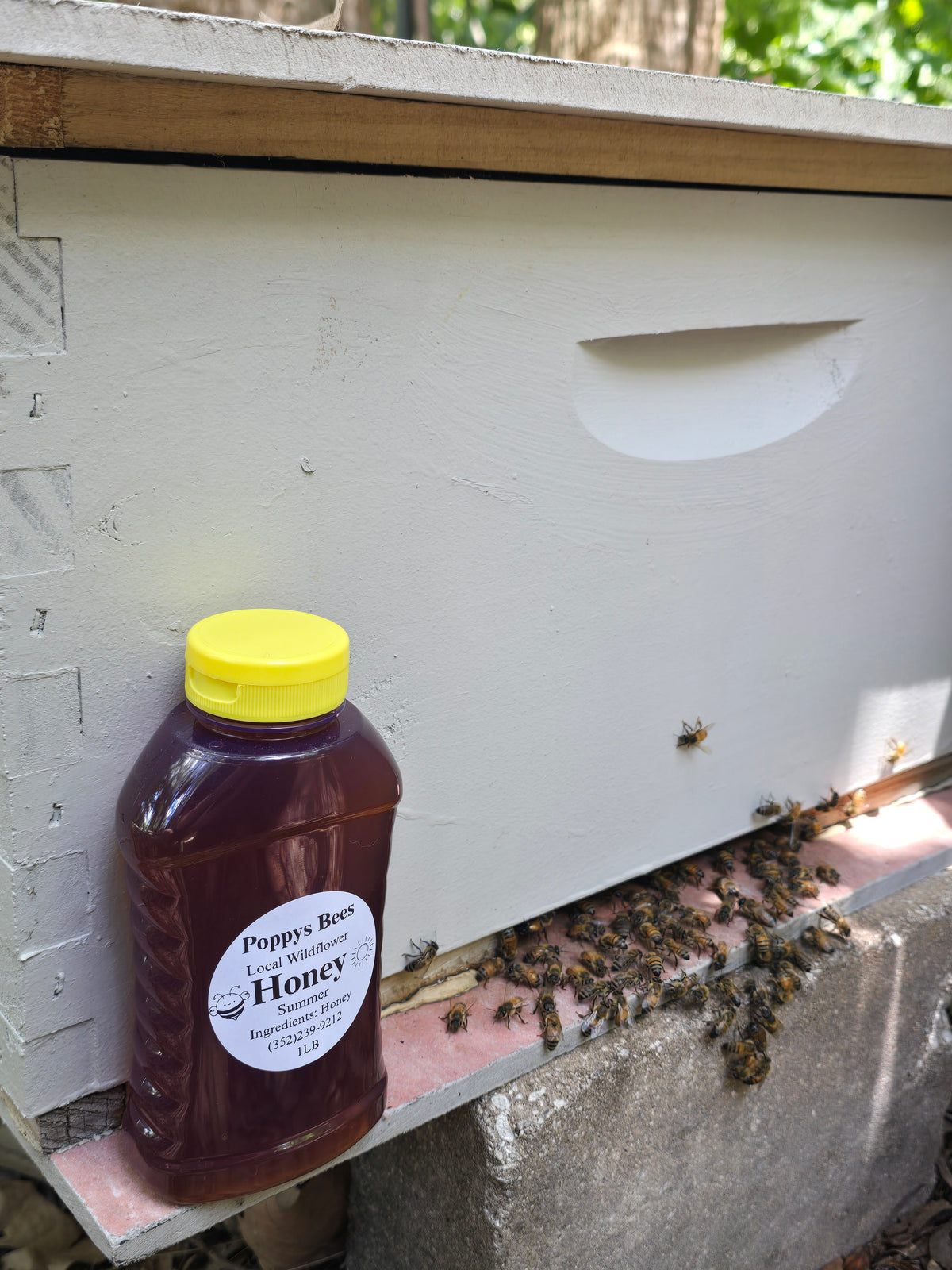 1 Pound Bottle of Honey (Summer)