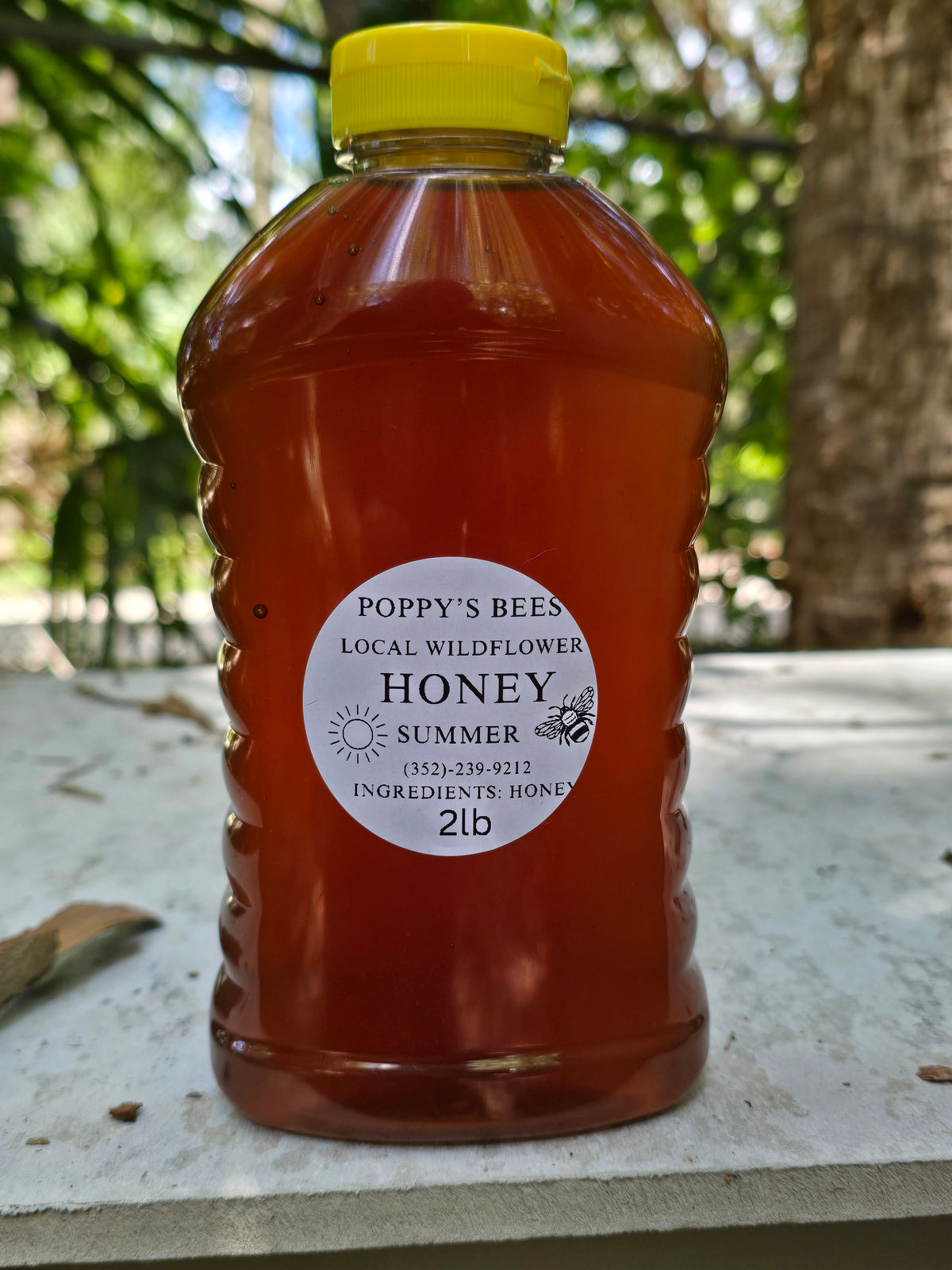 2 Pound Bottle of Honey (Summer)