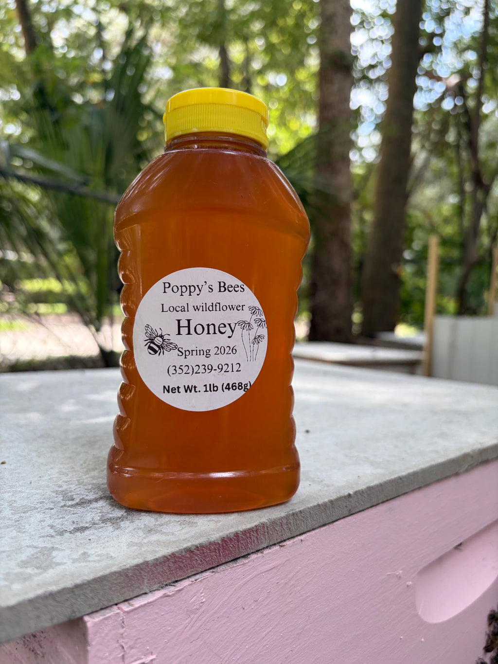 1 Pound Bottle of Honey (Spring)