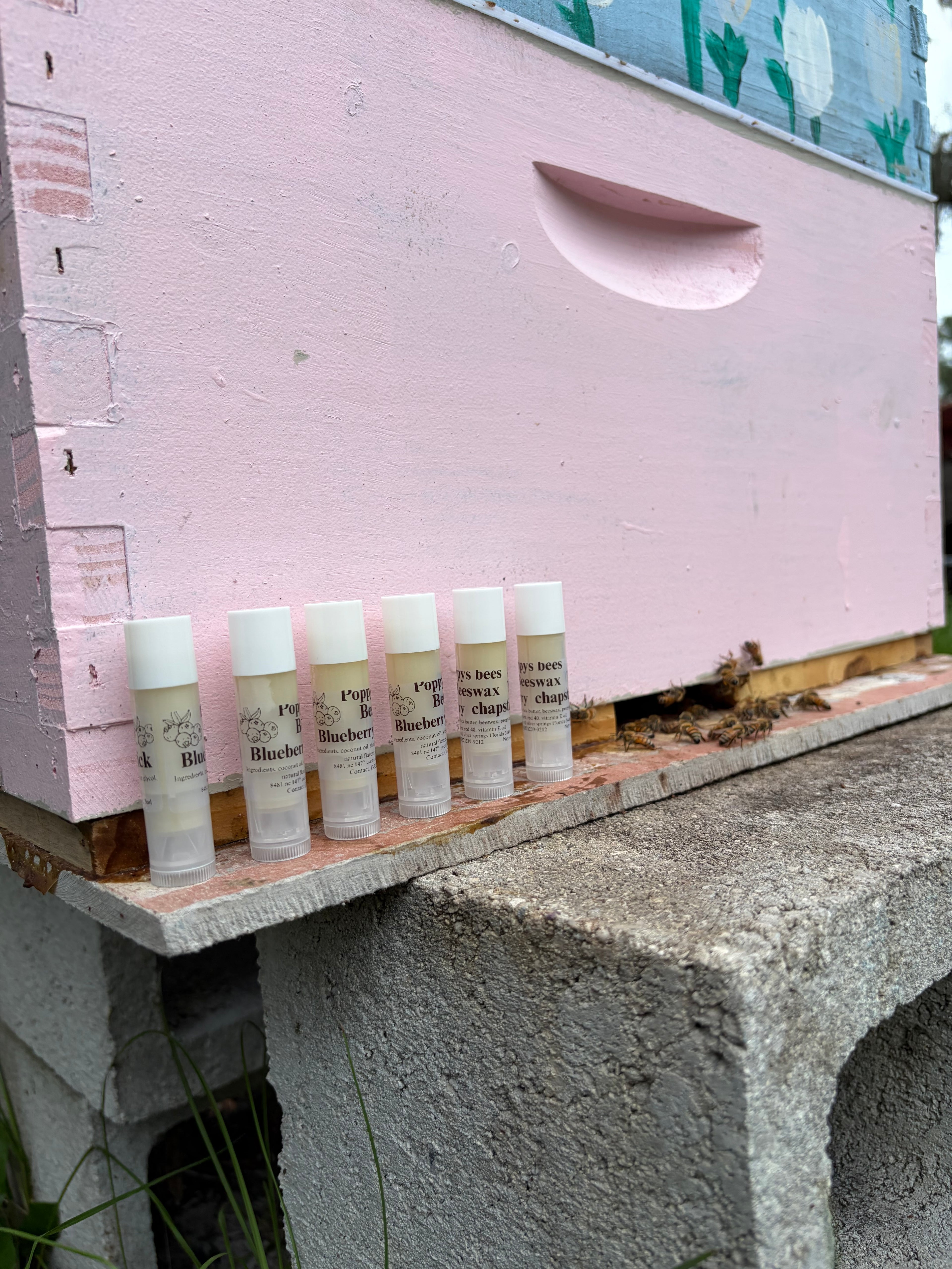 Blueberry Beeswax Chapstick